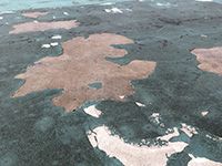 Triflex blog, Overcoating existing coatings in multi-storey car parks: a 21st century dilemma coating