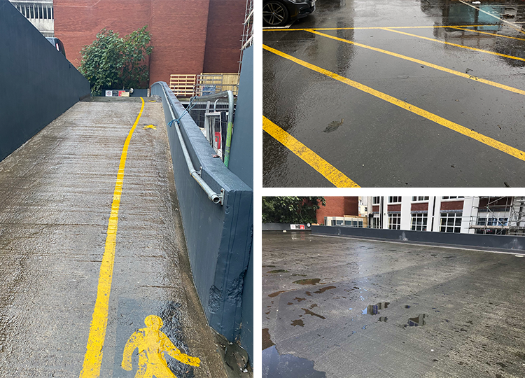 Triflex Hodge House case study the challenge grid image